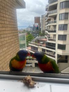 SYD Harbour Summer al fresco dining Steps to Metro
