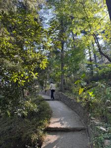 Shantiniketan Mountain Home