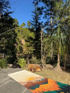 Shantiniketan Mountain Home