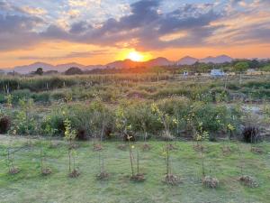 LeLaNa Farmstay Camping