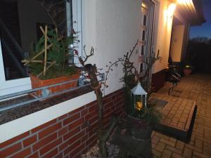 Ferienwohnung Im Grünen