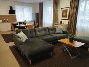 XXL apartamentai su nemokamu parkingu