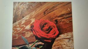 Appartement Bergblick