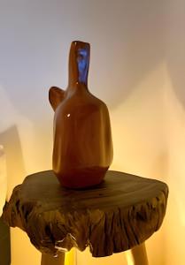 Villa Piquiá • Piscina • Jacuzzi • Casa Arara azul