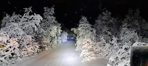 Hotel Glamping Gällivare - Laponia Sky Hut - Norrbotten - Lappland - Northern Lights