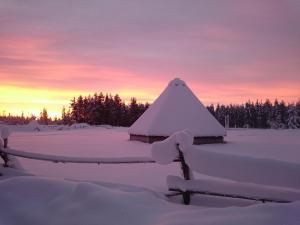 Hotel Glamping Gällivare - Laponia Sky Hut - Norrbotten - Lappland - Northern Lights