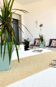 Steps from the Beach 3 Bedroom Apartment with Terrace, Full AC & Parking near Castellammare del Golfo