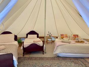 Mountain View Tilba Tilba - Glamping