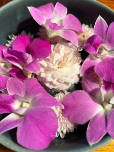 HomeandHomestay Chiang Kham