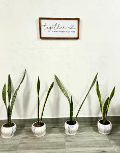 Monratino The First Floor