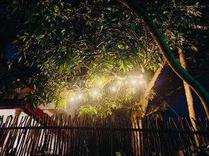 Safety Place - Waligama