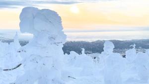 YAMADERA Family House