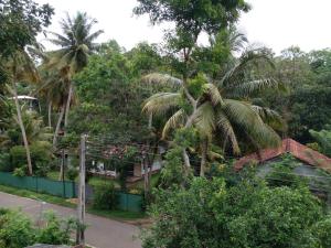 Serenity villa