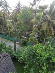 Serenity villa