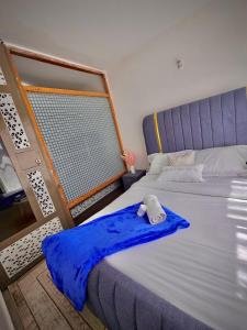 Violet luxury apartment