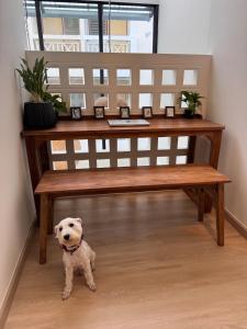 My Hidden Oasis in Old City 4 beds 3 bathrooms