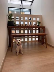 My Hidden Oasis in Old City 4 beds 3 bathrooms