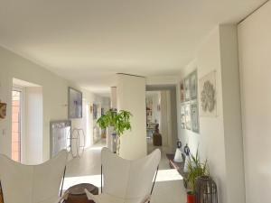 Tejo dream terrace Graça