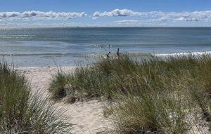 3 Bedroom Nice Home In Burgsvik