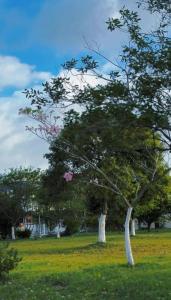 Conforto, tranquilidade e excelente localização