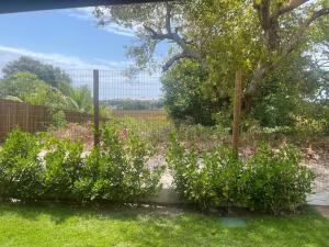 Novo village itacimirim mirante