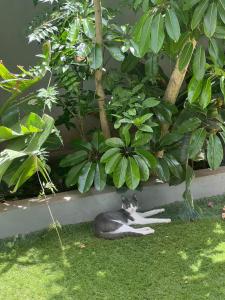 stay in villa casablanca