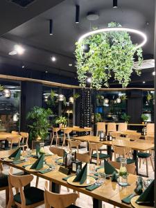 Promocje Amber Park Spa