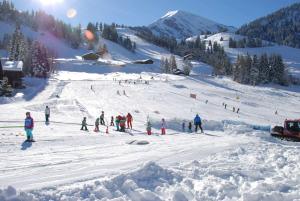 Alpine Studio for 4 in Nature Parc balcony&Parking