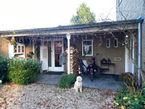 Appartement Osso Arnhem