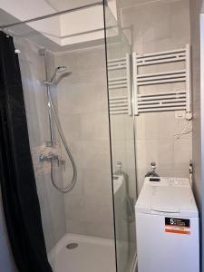 STUDIO 50m de gare de st-louis