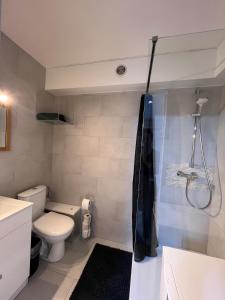 STUDIO 50m de gare de st-louis