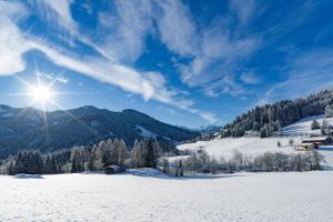 Hotel Der Wastlhof - direkt an der Skipiste Wellness & Spa