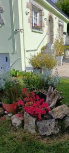 chambre dhôte la maison verte