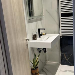 Le Paradis Du Figuier