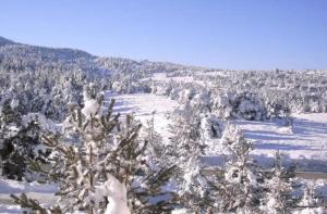 Cozy studio with mountain views and garden