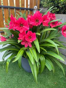 La Maison du Bonheur