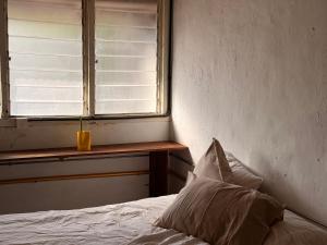 Just House - Rooms & Curios