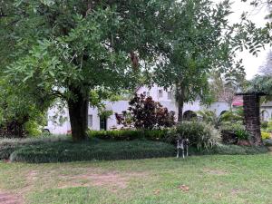 Nut Tree Nook