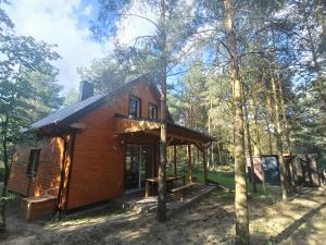 Domek nad jeziorem Wilczyńskim