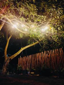 Safety Place - Waligama