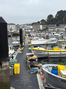 Appartement avec son jardin face au port dAudierne