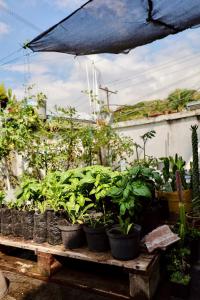 Habitación en San Antonio