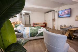 TIMELESS HOME Deluxe Smart Cinema Suite with Netflix & Disney