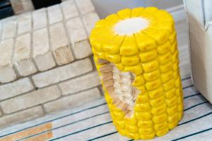 The Corniest Property in Texas ♥ 4 BR ♥ 14 Acre ♥