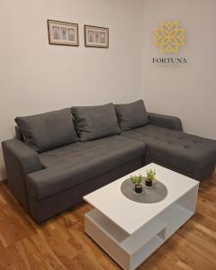 Apartman Fortuna Centar