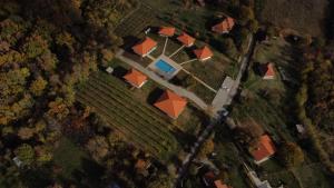 Vinogradi Zmajevački