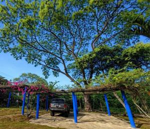 Villa Aqua Morrocoy Escapada Tropical con Gran Piscina y Capacidad para 16 Huespedes