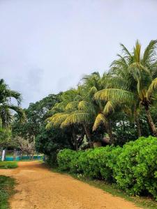 Villa Aqua Morrocoy Escapada Tropical con Gran Piscina y Capacidad para 16 Huespedes