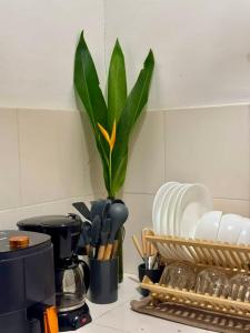 New Cozy Studio House, Center of General Luna