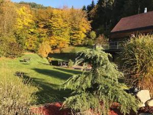 Chalet Contemporain